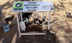 Ereğli Belediyesi can dostlarını unutmuyor