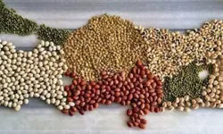 Beyşehir'de yerli malı heyecanı
