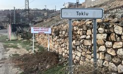 Bir köyde kuduz vakası görüldü