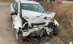 Otomobiller kafa kafaya çarpıştı