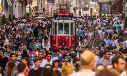 Türkiye'de gelir dağılımı (1)