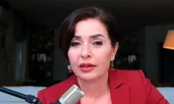 Gazeteci Özlem Gürses gözaltına alındı
