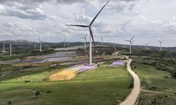 Enerji piyasalarında 2025'te uygulanacak idari para cezalarında artış