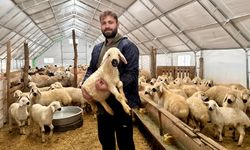 KOP desteğiyle kendi ağılını kurdu