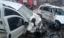 Direksiyon hakimiyetini kaybeden sürücü hayatını kaybetti