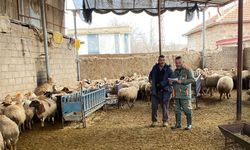 Konya'da hayvan sağlığı için şap aşısı yapıldı