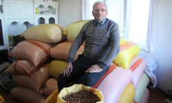 'Fındık fiyatları yükselişe geçiyor'