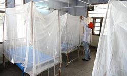 Hindistan'da gizemli "kellik virüsü" endişe yarattı