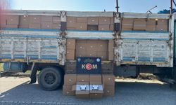 5 milyondan fazlası Konya'da elegeçirildi