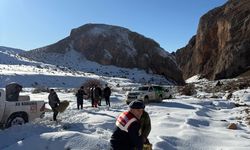 Yaban keçilerine yem bırakıldı