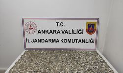 3 milyon liralık tarihi eser bulundu
