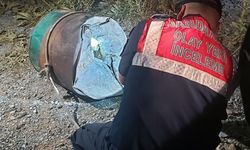 Pınar Gültekin davasında Yargıtay kararı bozdu
