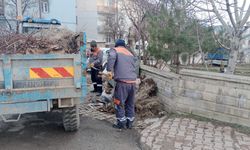 Beyşehir’de temizlik seferberliği