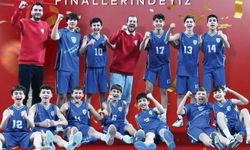 Diltaş Türkiye finallerinde