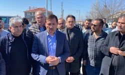 Konya'da sahipsiz köpekler toplanıyor