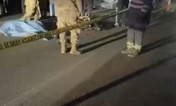 Trafik kazasında iki  genç hayatını kaybetti