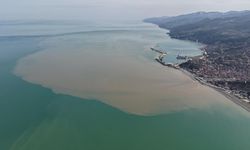 Denizin rengi kahverengiye döndü