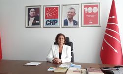CHP YDK üyesi Yücal'dan 8 mart kadınlar günü mesajı