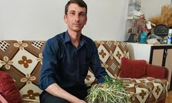 Zararını öğrenmek için üniversiteye kadar buğday taşıdı!