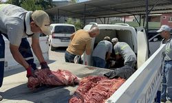 İnsanlara dana eti diye tek tırnaklı hayvan eti yedirdiler