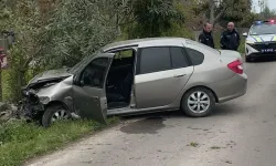 Sokak köpeklerine çarpmamak için kaza yaptı