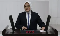Türkiye’de doğurganlık hızı kritik eşiğin altında