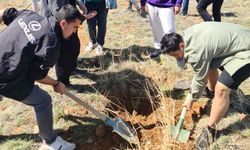 Konya'da şehitler anısına fidanlar toprakla buluştu