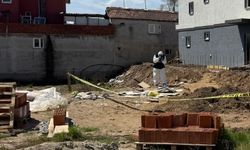 İnşaat kazısında kafatası bulundu