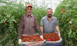 Hava muhalefetine 'örtü altı' tedbir!