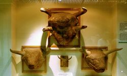 Çatalhöyük kutsal bir mekan mı?
