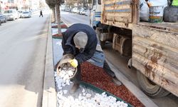 Bu ilçede orta refüjlerde kuru peyzaj çalışmaları başladı