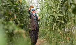 Kırsal kalkınma destekleri için son başvuru
