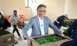 Dünya Çiftçiler gününde belediyeden vatandaşa fide hediye edildi