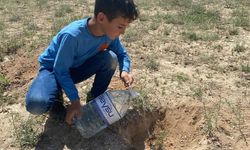 Öğrenciler Konya'nın en kurak toprağına fidan dikti