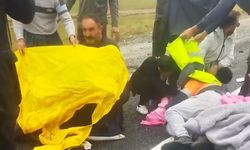 Van-Hakkari karayolunda tır devrildi: 2 yaralı