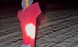 Konya'da tarım alanlarında domuz nöbeti