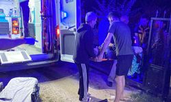 Aile içi kavgada ablasını ve eniştesini vurdu