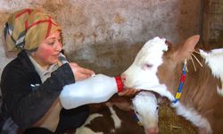 İşini kurdu, huzur buldu