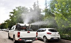 Karatay Belediyesi sivrisinek ısırmalarına böyle son verdi!