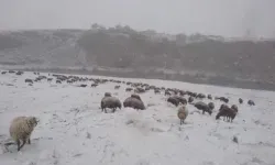 Aniden bastıran kar çobanlara zor anlar yaşattı