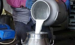 Süt üreticisi martta yüzleri güldürdü