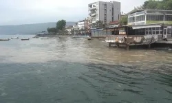 Marmara Denizi'nin kabusu müsilaj geri döndü