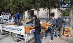Selçuklu’da arıcılığa altın dokunuş: 3 yılda 887 arılı kovan desteği!