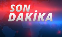 İsrailli barış kampı, Türkiye'yi iki devletli çözümü tesis etmeye çağırıyor