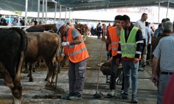 Seydişehir'e hayvan pazarı açıldı