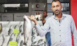 Vatandaşın tercihi sazan ve alabalık