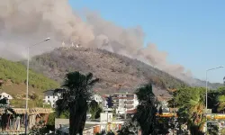 Orman yangını kontrol altına alındı