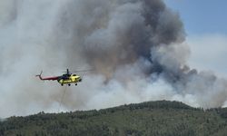 Orman yangınına müdahale sürüyor