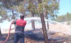 Sigara izmariti yangına sebep oldu
