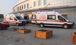 Keçisini ararken canından oldu